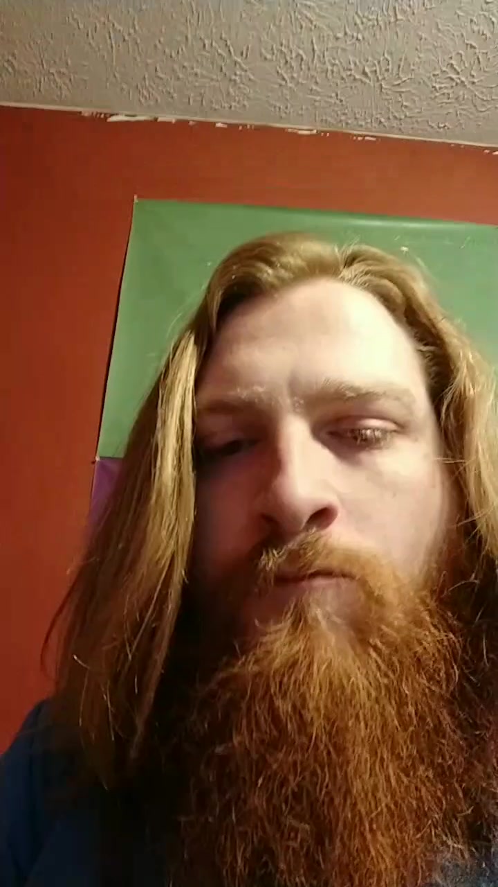 @Ginger Fodder