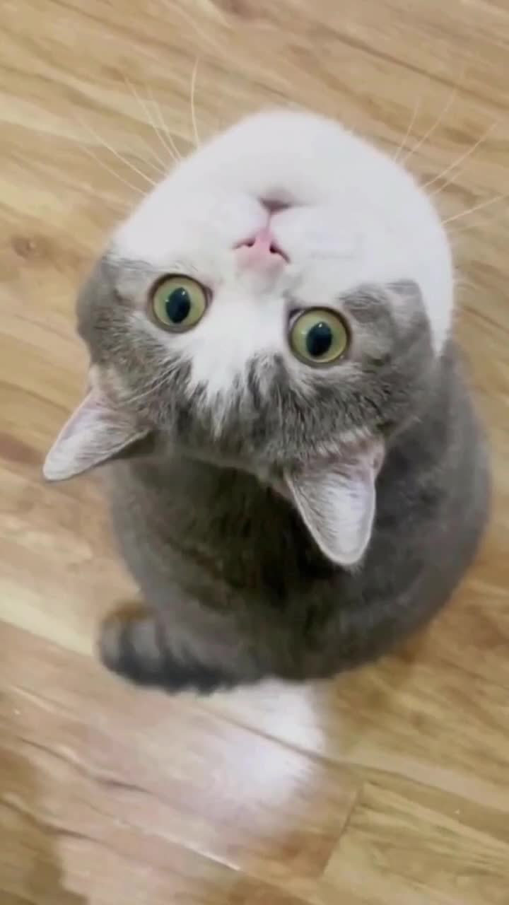 @bishuvmn1cp