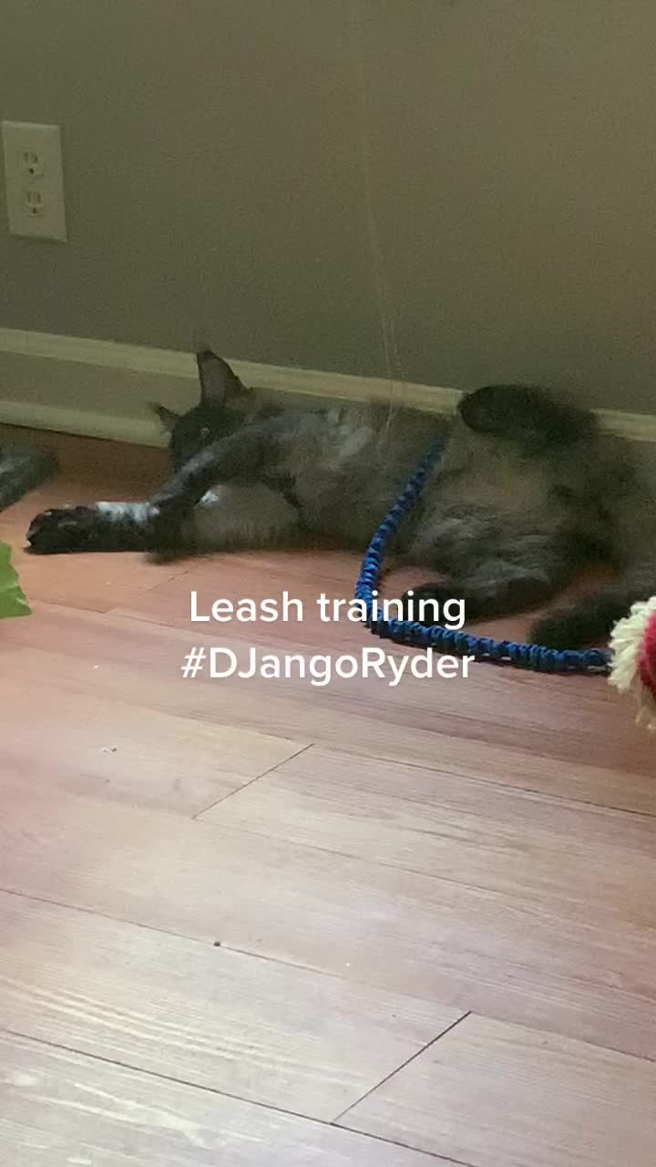 @DJangoRyder