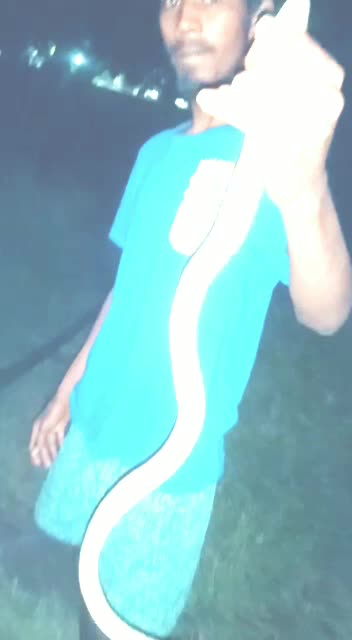 @Madan Yadav