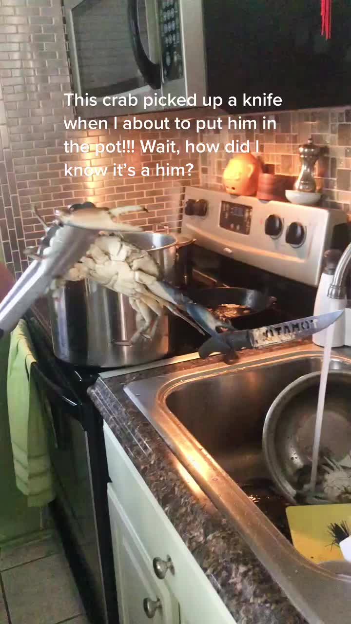 @theadorablechef