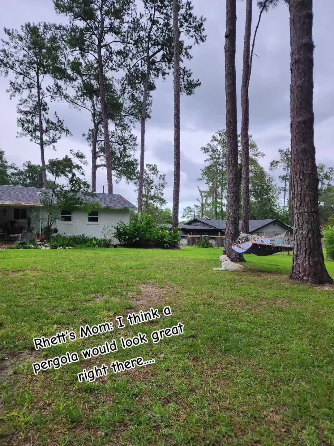 @TerrificTobi