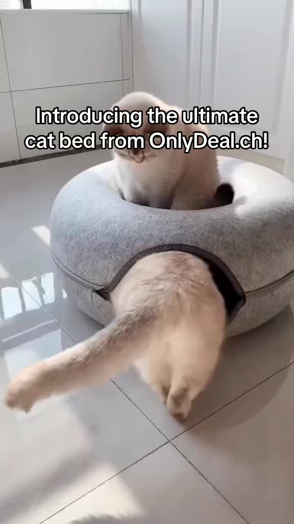 @onlydeal.ch