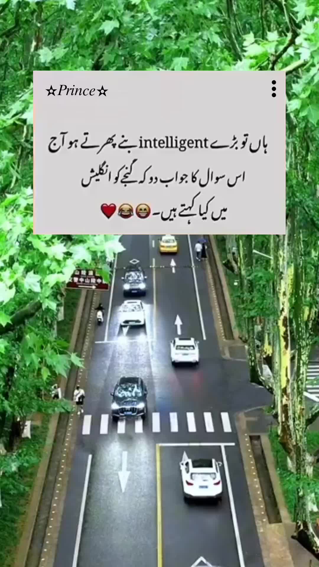 @⫷𝄞❤🇵 r̸i̸n̸c̸e̸★᭄ꦿ᭄ꦿ🚭.