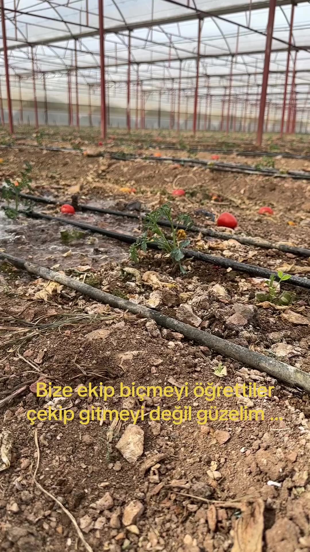 @Uğur özkan