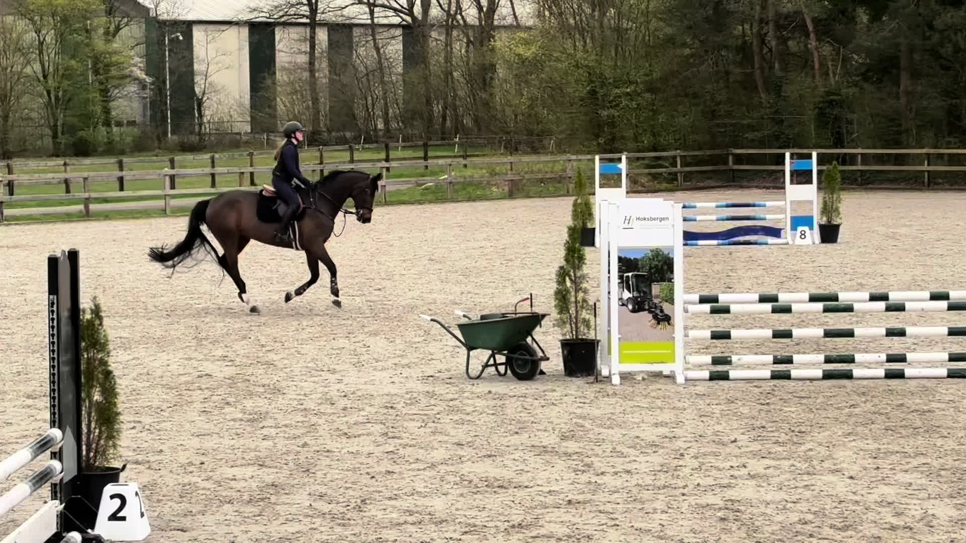 @allroundxgroep🩷🐴