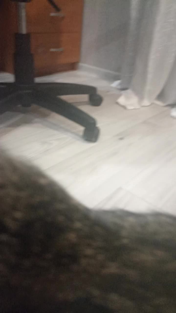 @𝚐𝚕𝚎𝚍𝚏𝚏