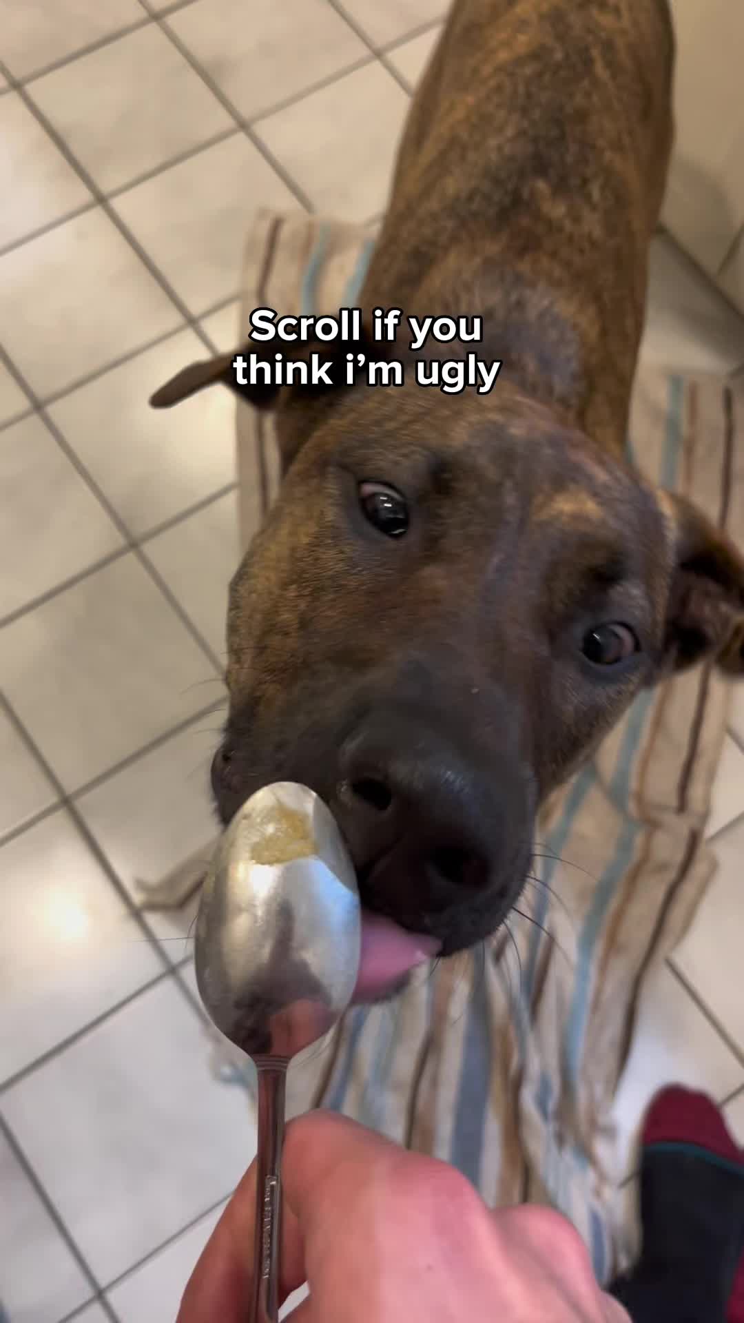 @Bea