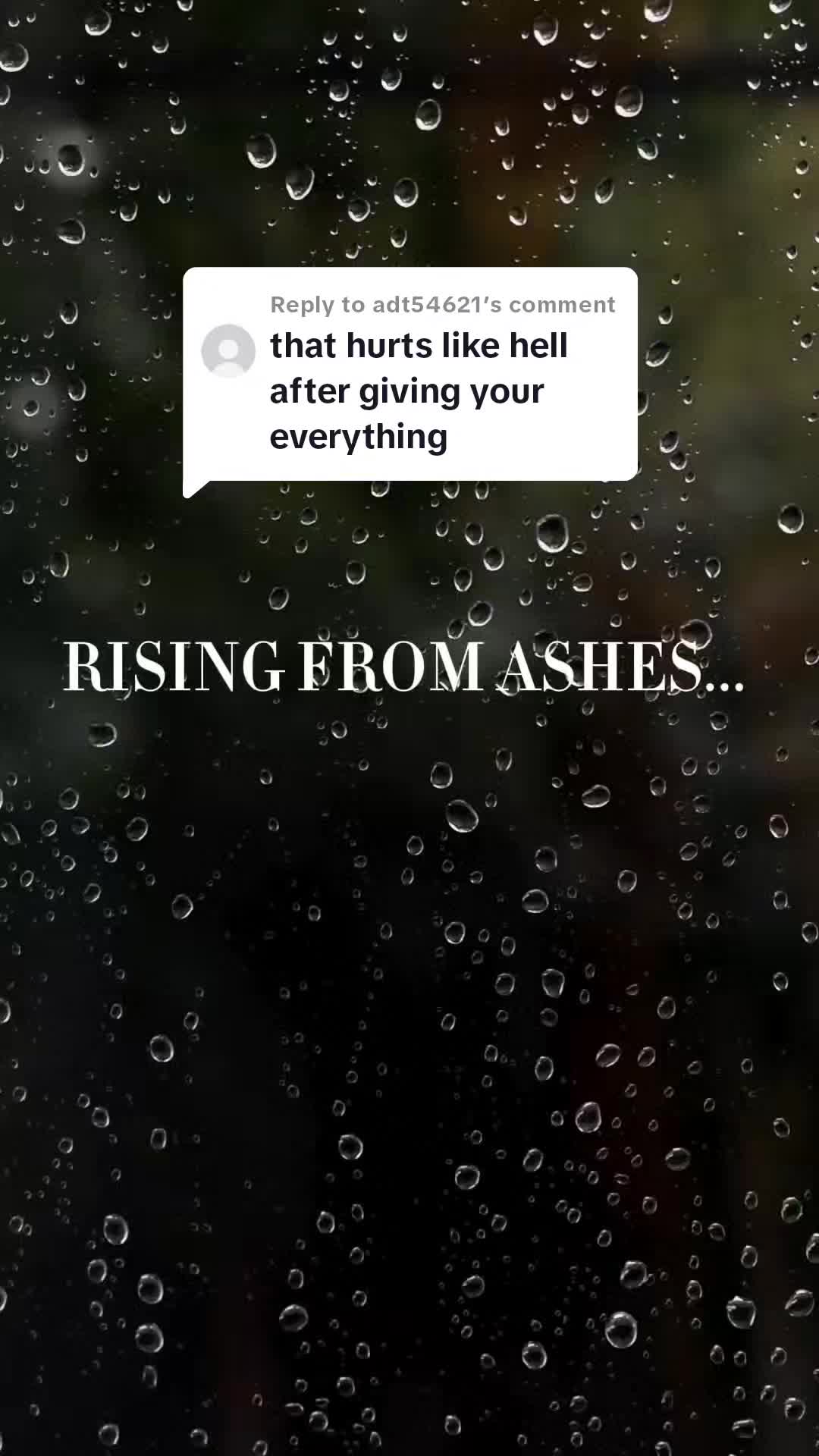 @Supportify+