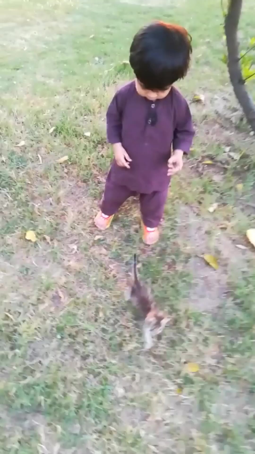@Sohail_yousaf3893