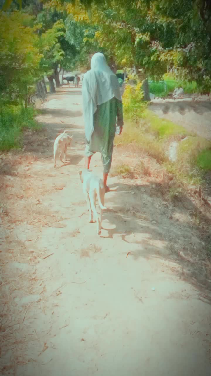 @nizampura ch80