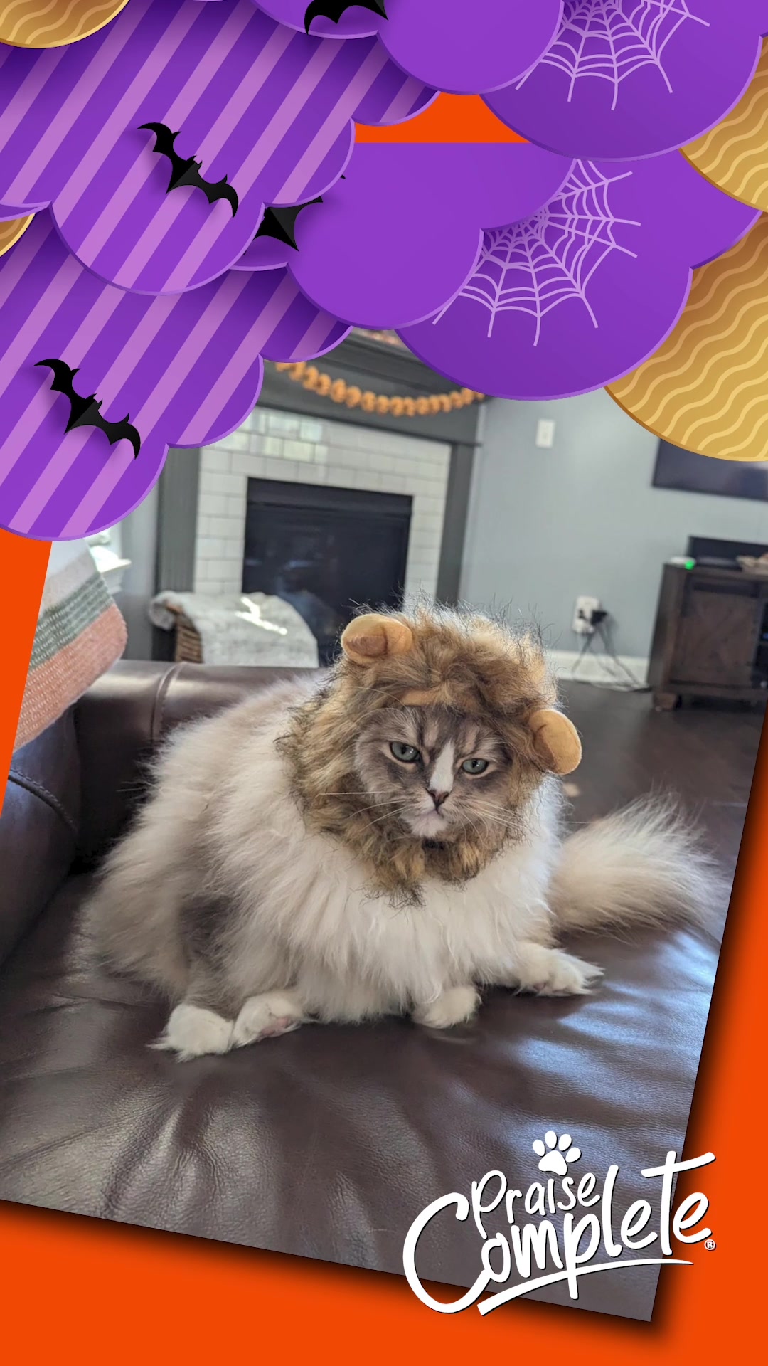 @Federated Group