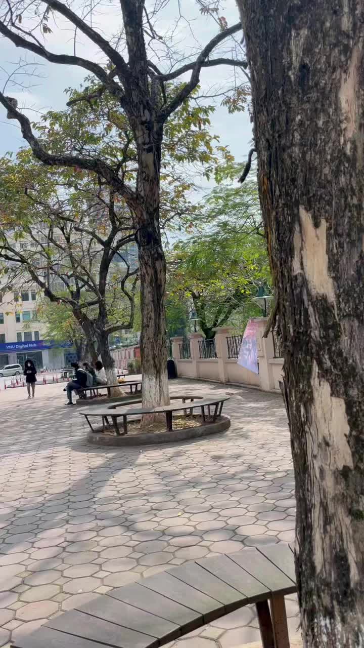 @huongta366