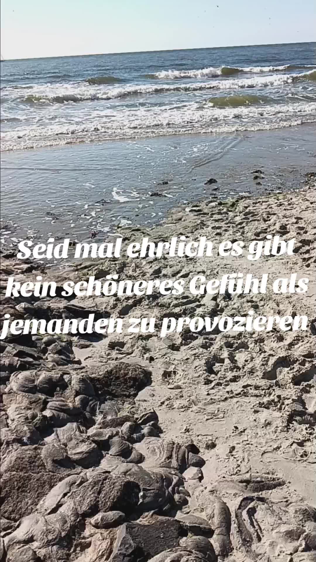 @Fragen.und.Antwort