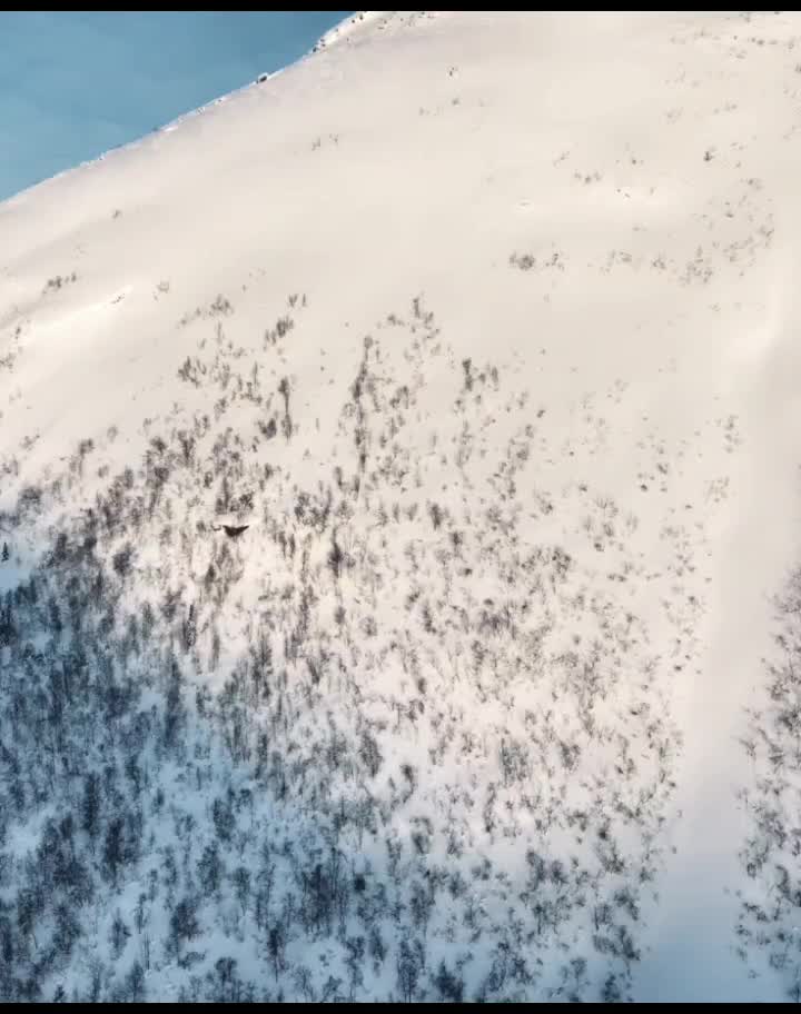 @Ski_mountain