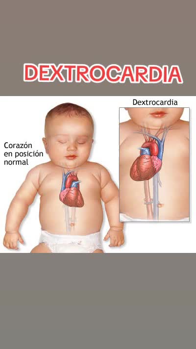 @gabrielmatamoros