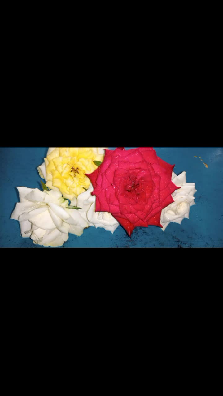 @user4000806606397