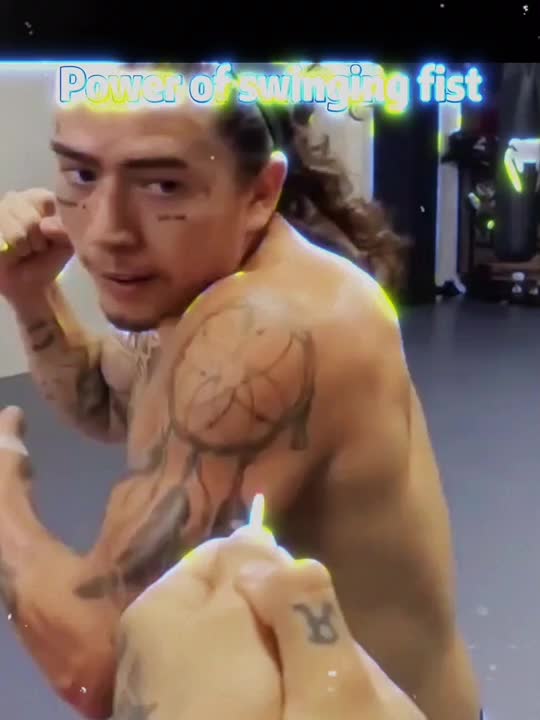 @fighting_kingfupanda
