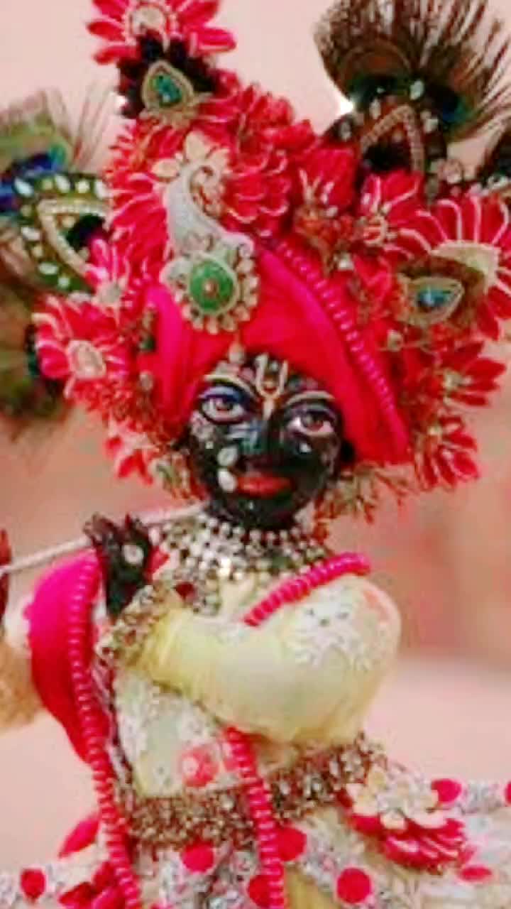 @user950867969053