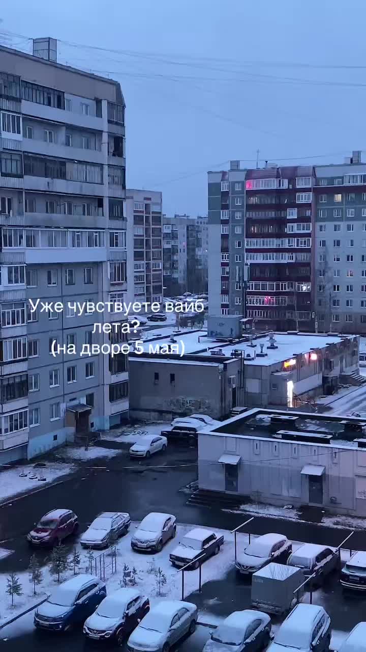 @dinkadonka