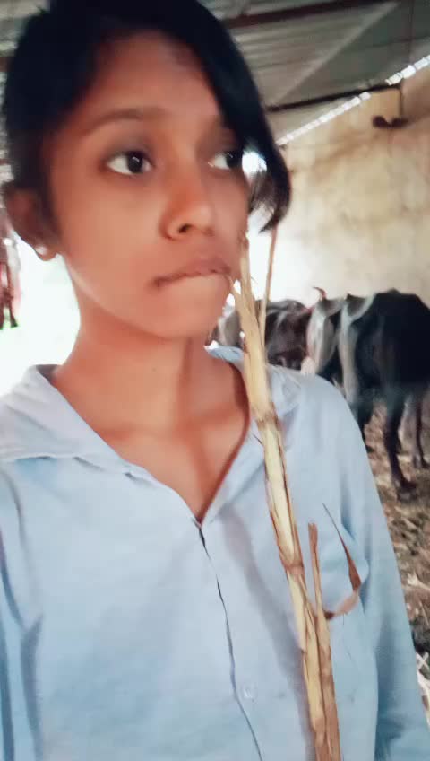 @AcchariAcchu16