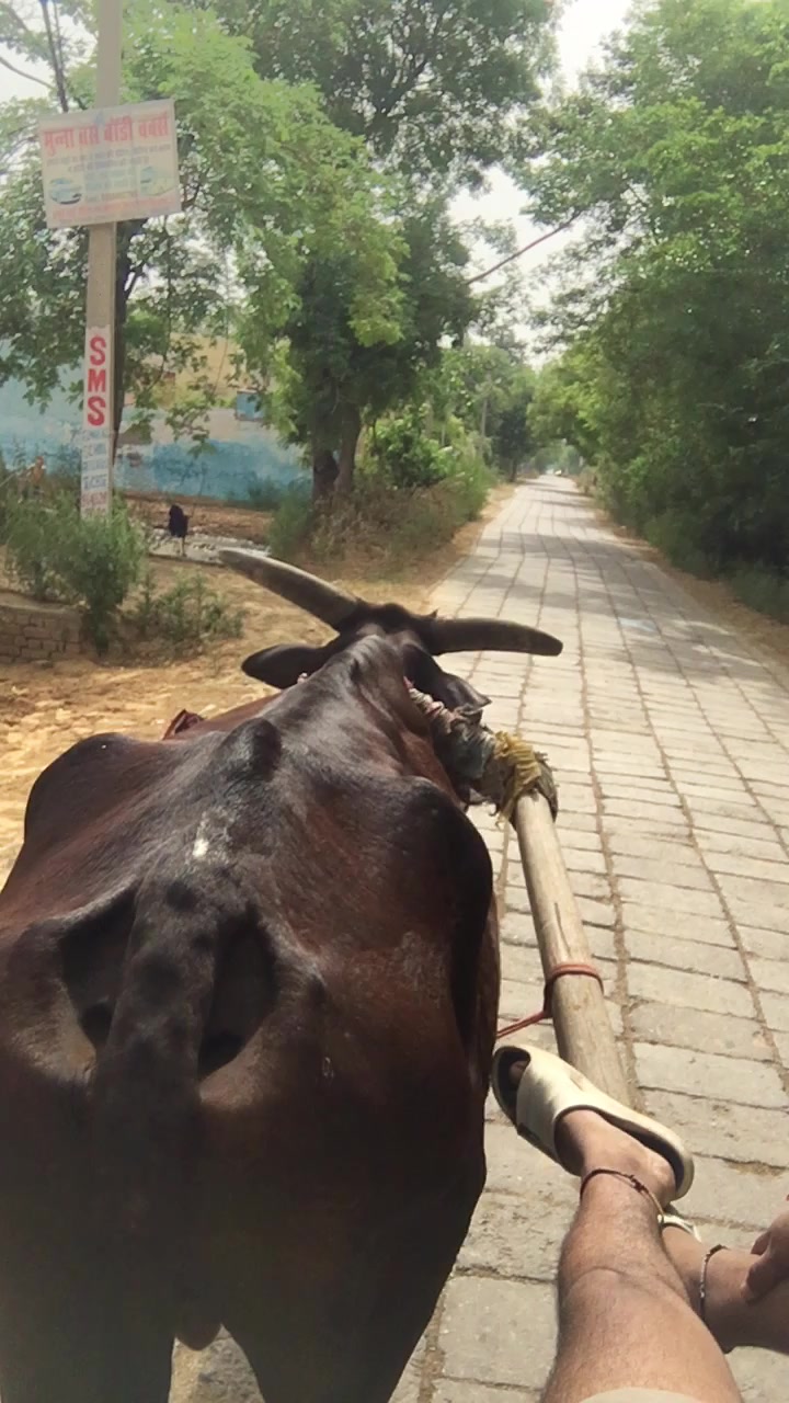 @Saurabh🔥