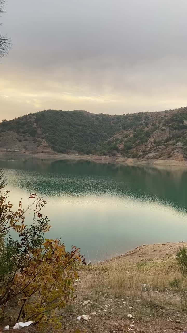 @🦂akrep kadını🦂