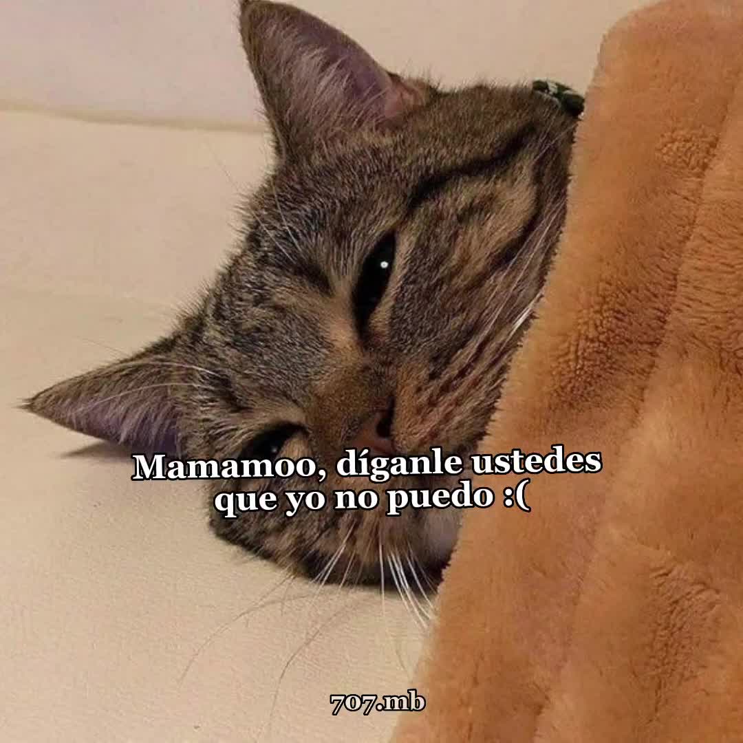 @🐹707🐹