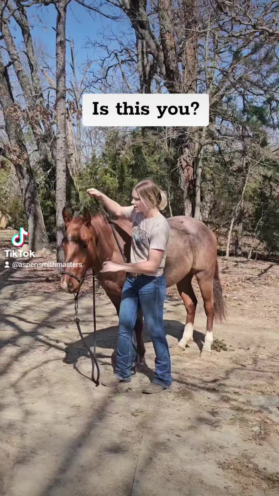 @Ozark Mountain Horses LLC