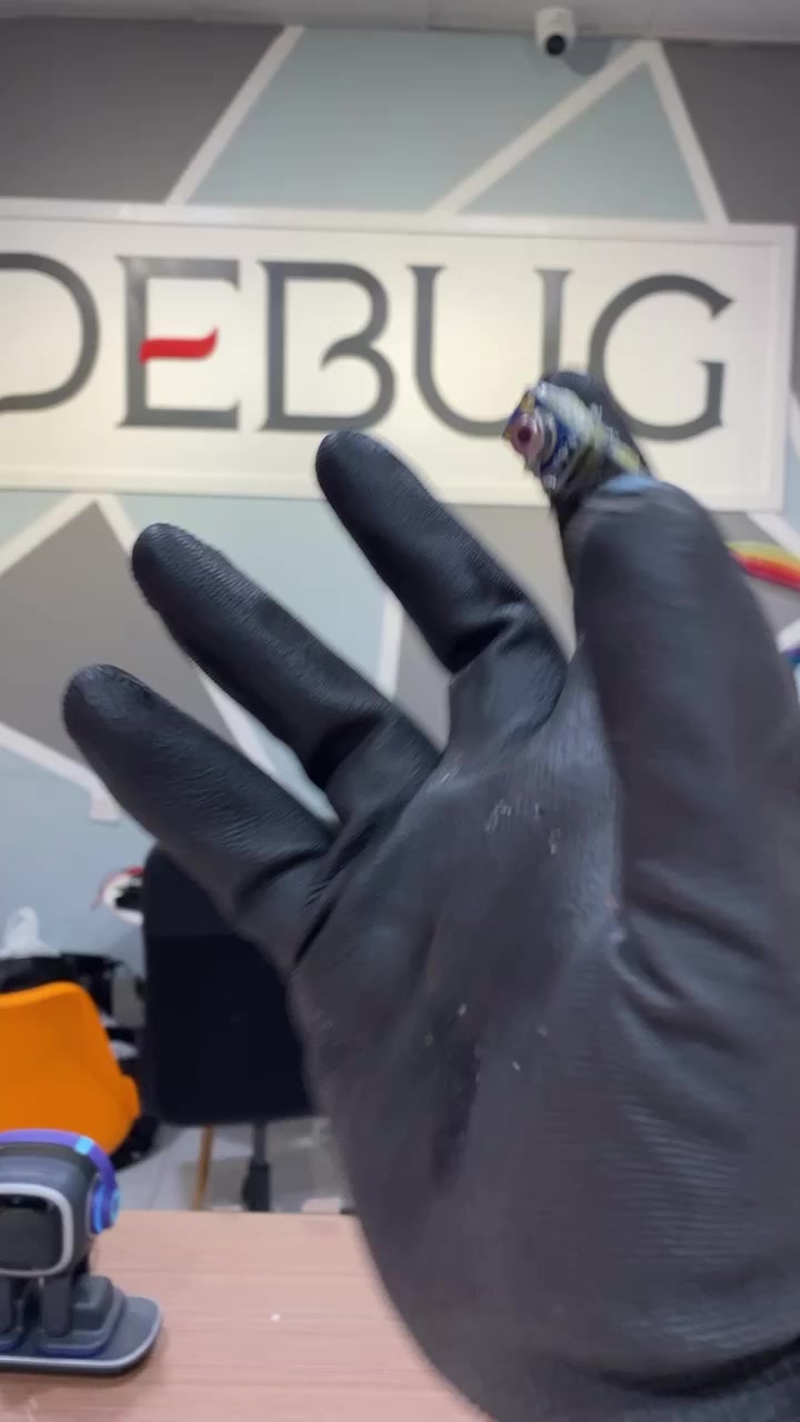 @Debug
