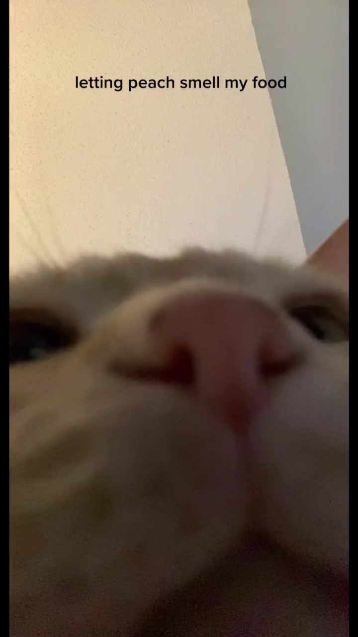 @smellanor