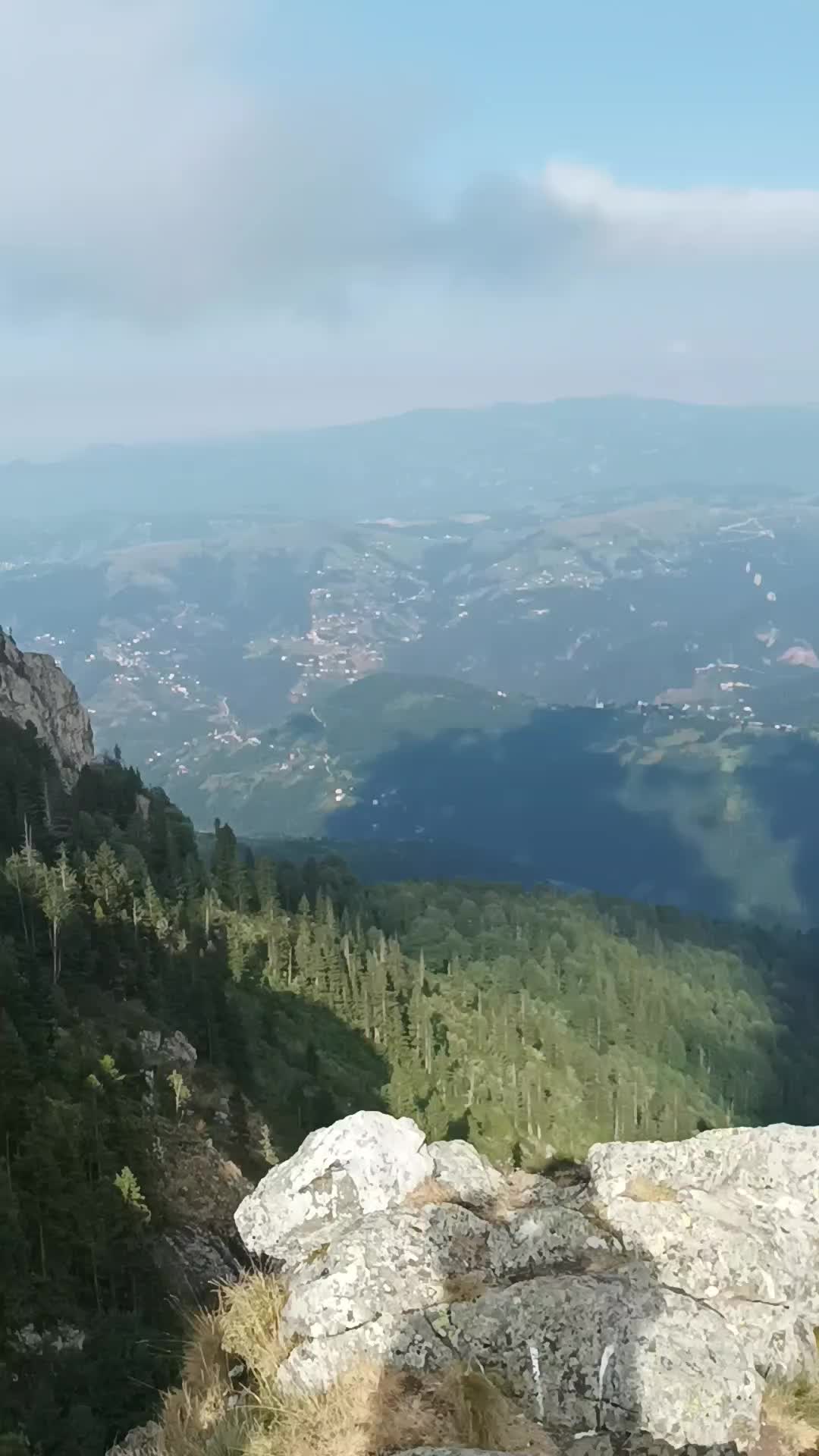 @mevlüt