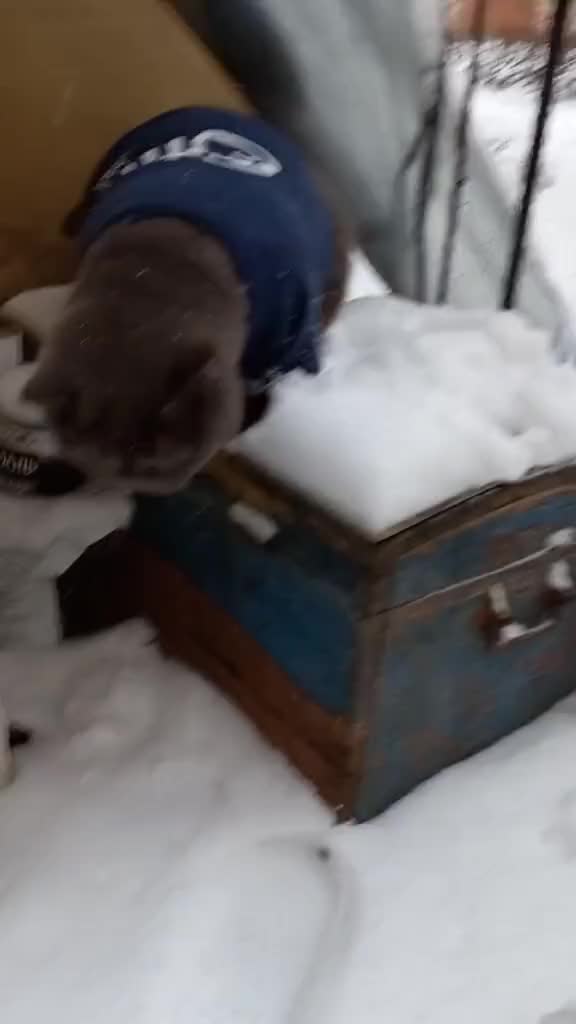 @Жанночка