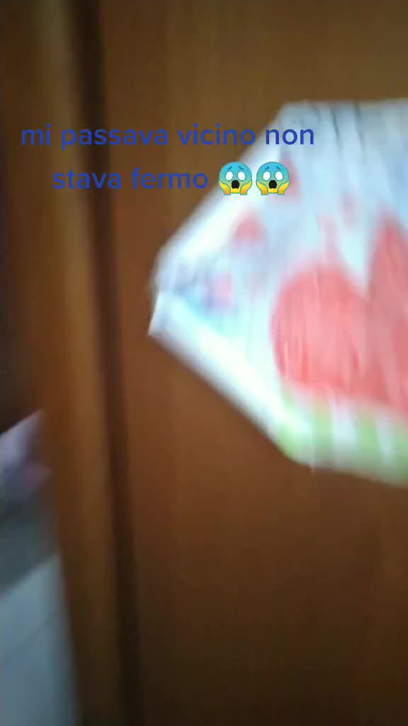 @Bruna Peruch