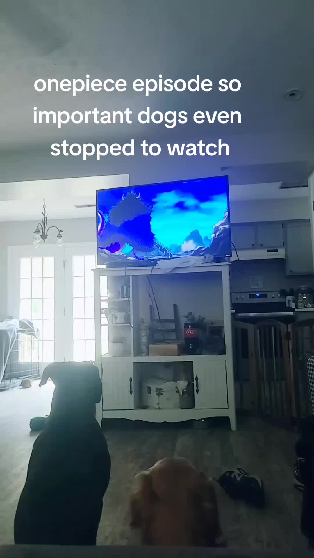 @thetravelinghokage