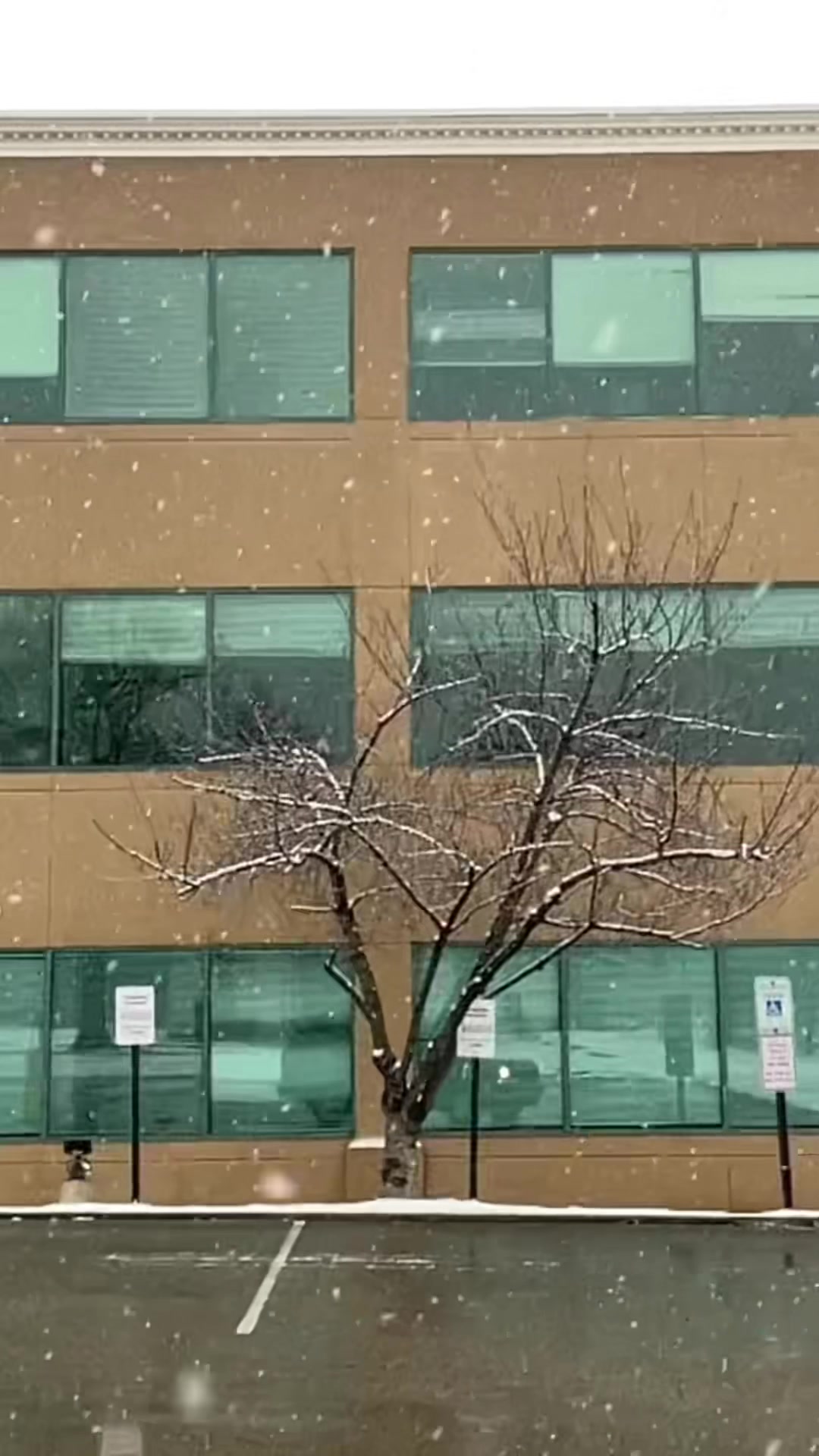 @Sauers Snow & Ice