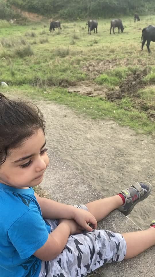 @Tuncer Aras