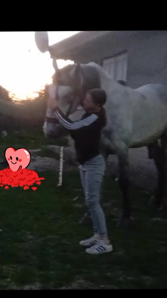 @Andreea Bortă
