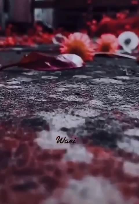 @mr_tafazul406