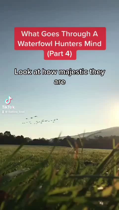 @Flatline Fowl