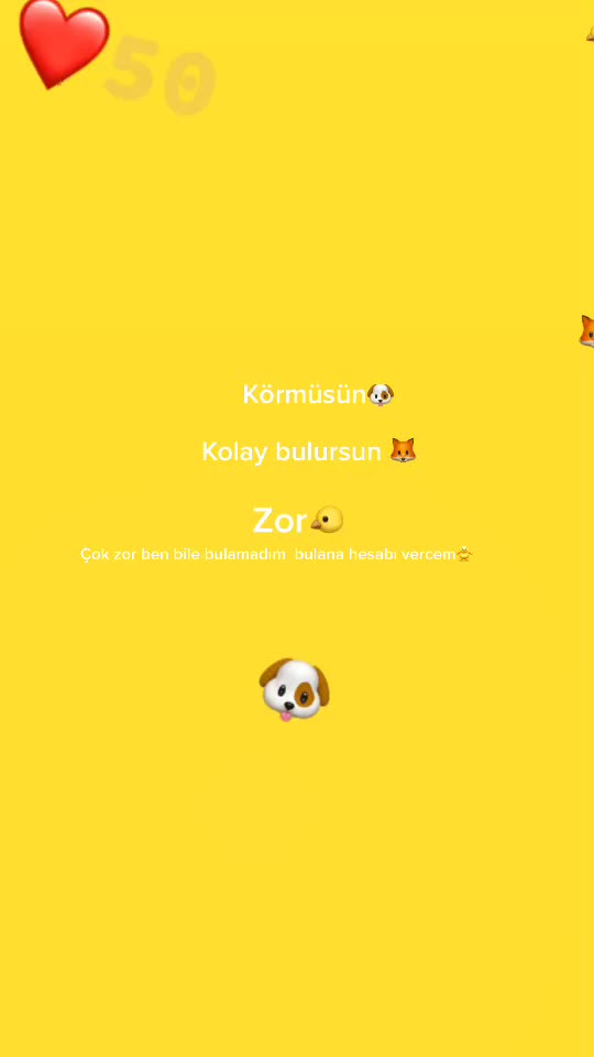 @alpeksioglu:tiktok
