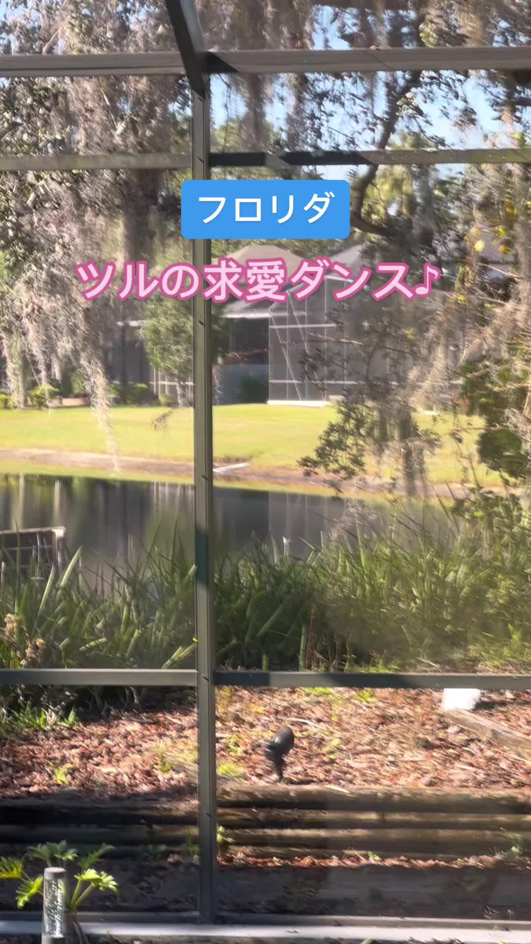 @mi_USA