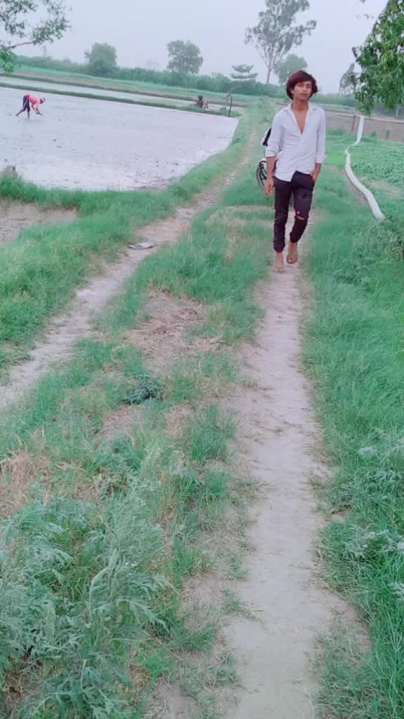 @@haryanvichora11