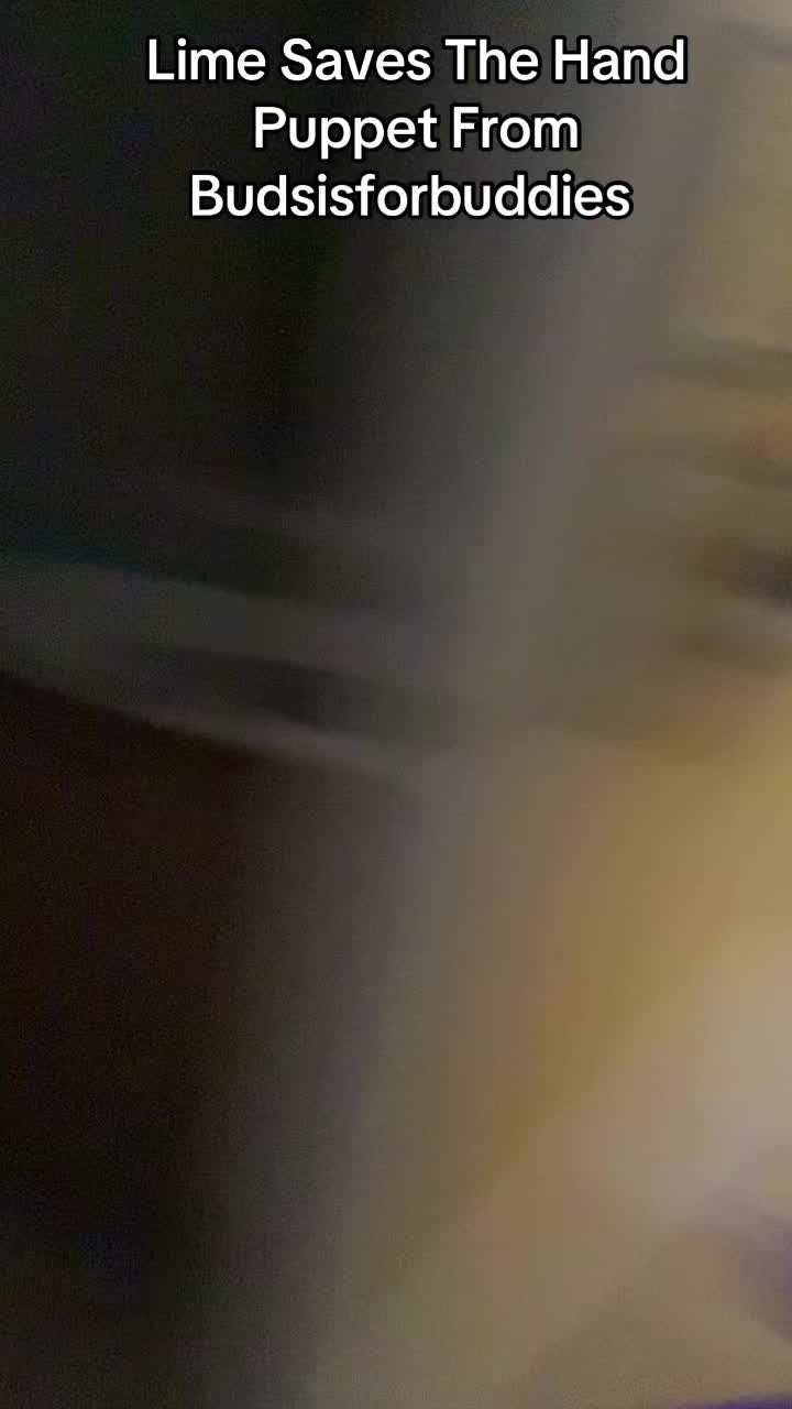 @childadriennrex