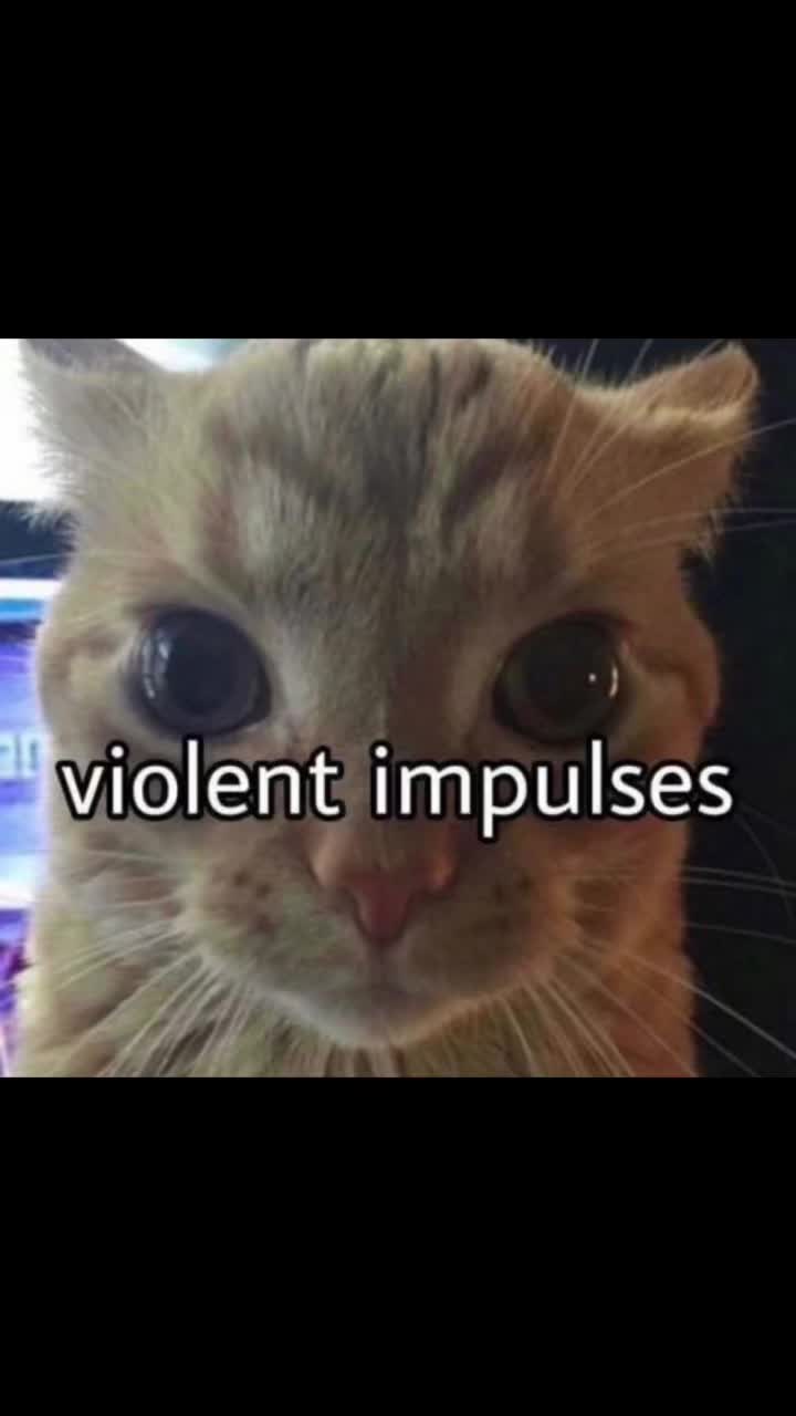 @cecelia