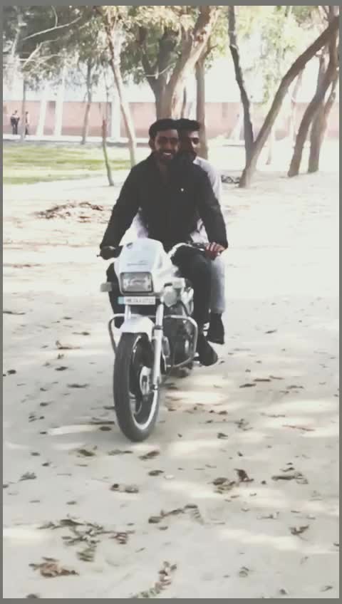 @anil_birda01