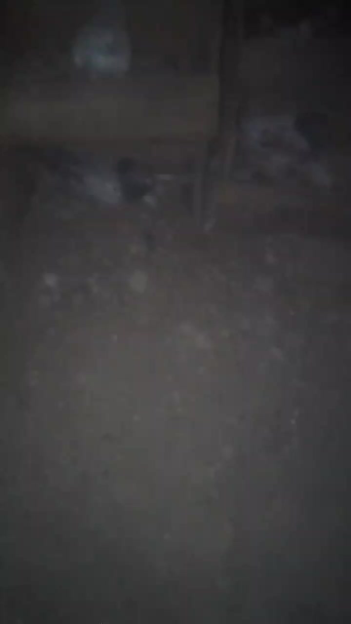 @imram442