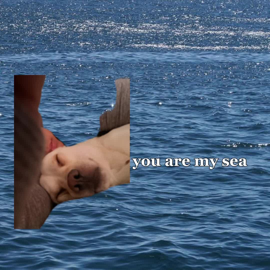 @Sauce
