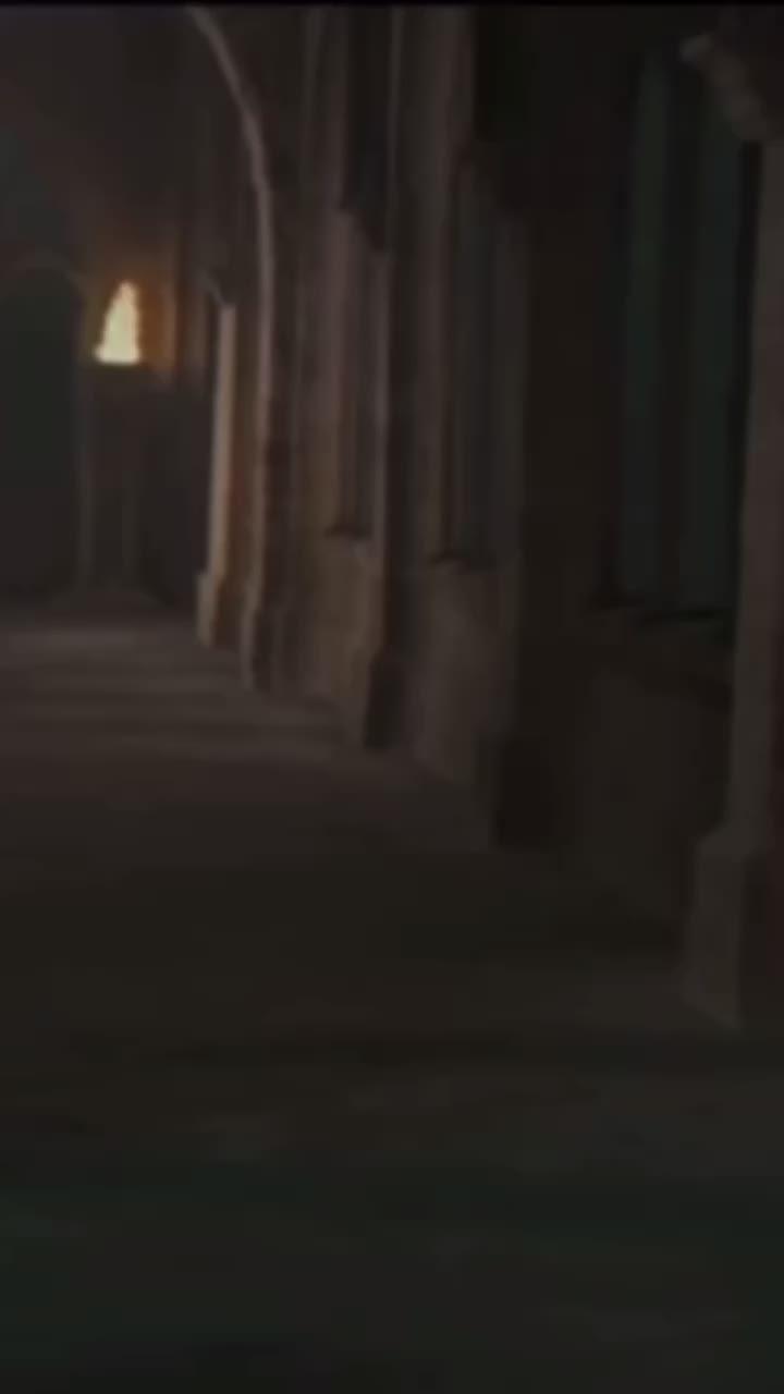 @harry potter povs