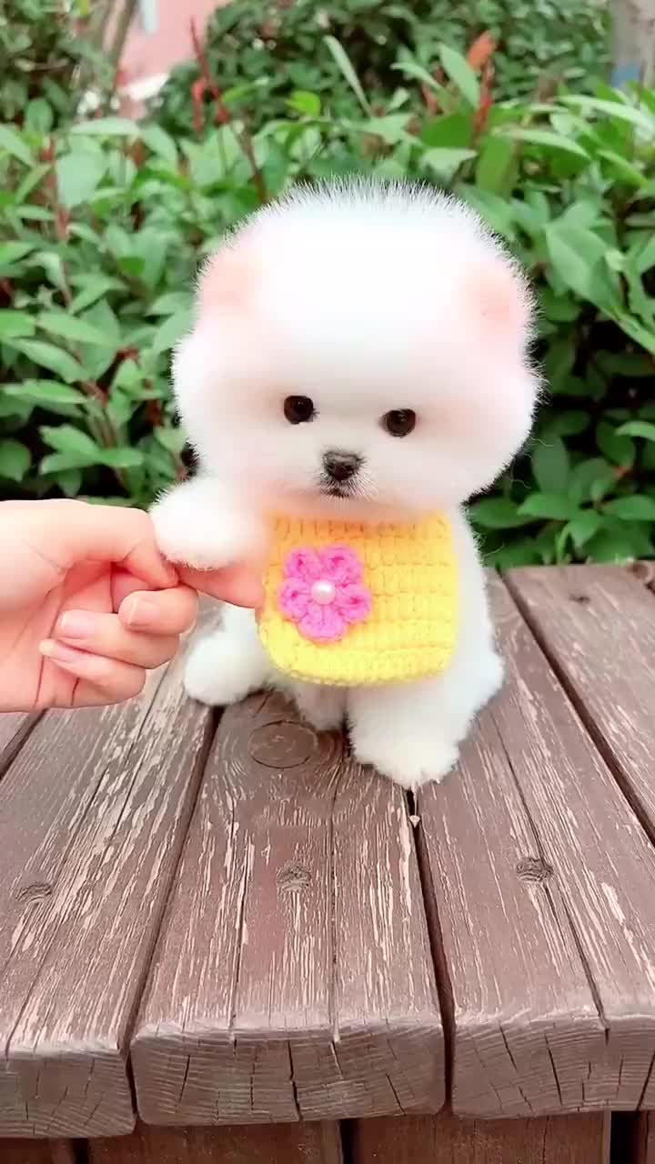 @user11009811448656